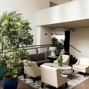 Condotel With Free Parking Wifi Ac By Stayhawaii Apartment Honolulu